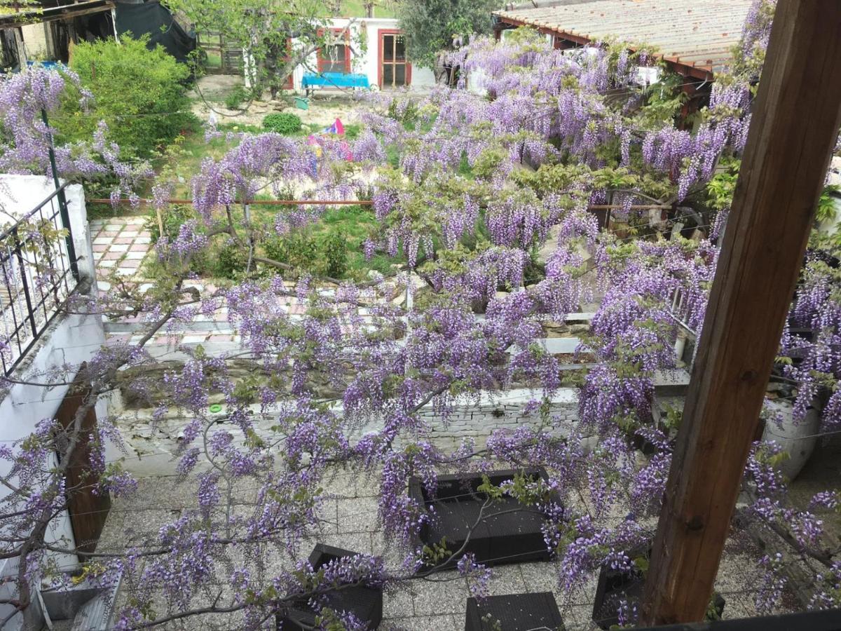 B&B Il Secolo Breve Ортона Экстерьер фото
